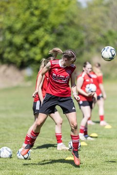 Bild 63 - F SG NieBar - IF Stjernen Flensborg : Ergebnis: 2:0
